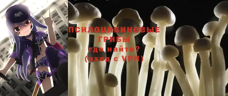 где купить наркотик  OMG онион  Галлюциногенные грибы Psilocybe  Беслан 